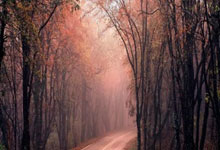 开云体育平台APP-基辅战车碾碎德甲阴云！绝杀霍芬海姆点燃乌克兰不屈之魂