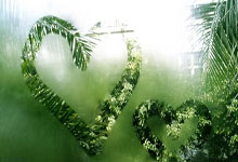 开云体育登录-瑞典中场回归家乡联赛，从新出发