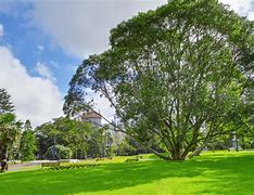 数据分析：奥克兰城历史战绩与本届展望