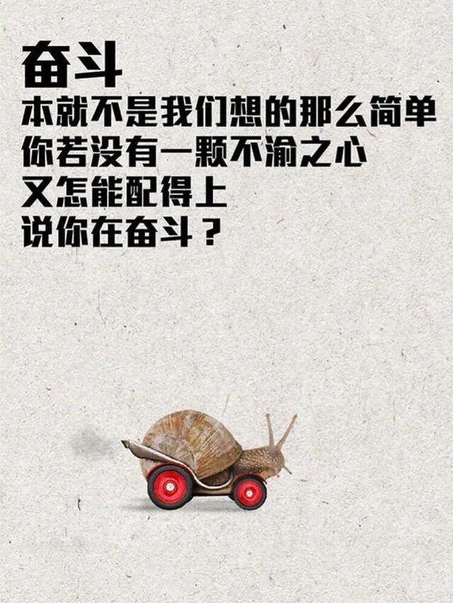 开云下载-弗赖堡队员风生水起，期待下一场胜利的简单介绍