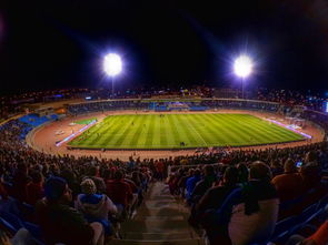 开云体育app-阿尔希拉尔冲击季军，年轻球员表现亮眼