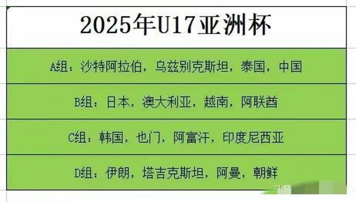 开云体育下载-关于欧洲队球员加盟中超，带来何种新气象的信息
