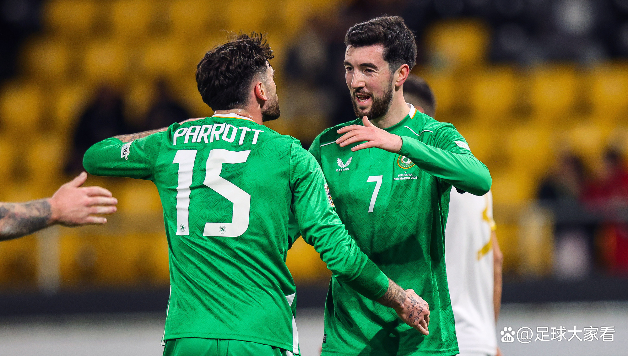 爱尔兰队艰难晋级世界杯，顽强拼搏的简单介绍