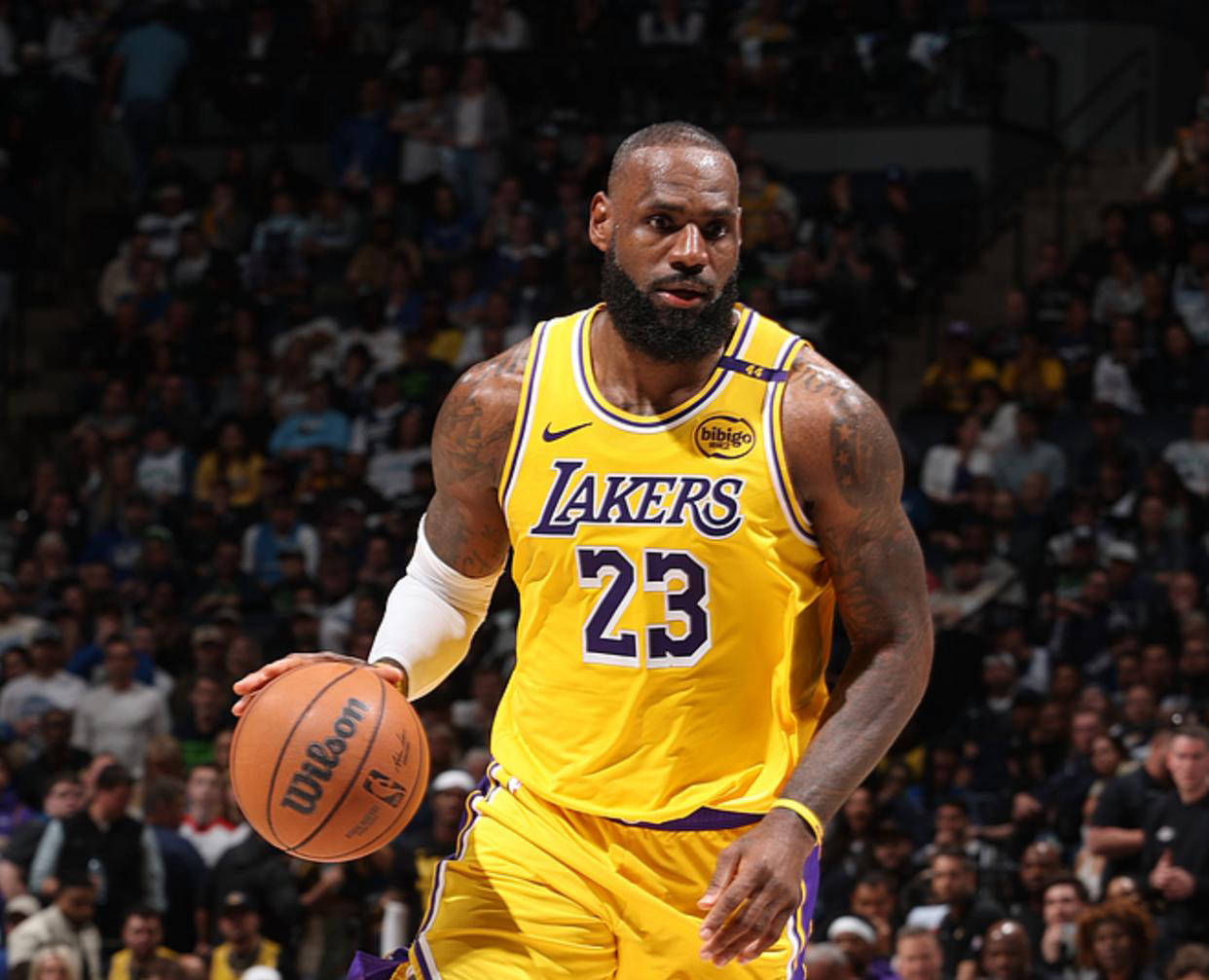 包含篮球明星表现抢眼，季后赛出色发挥引关注的词条