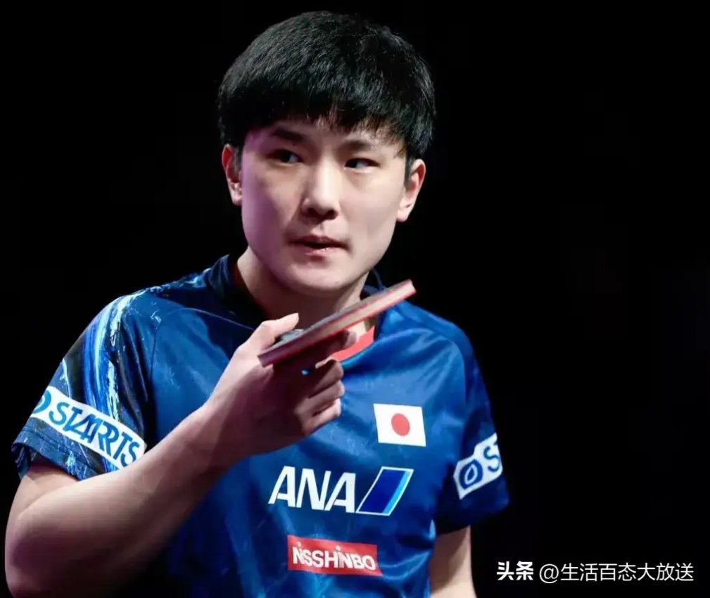 开云体育下载-法国乒乓球队险胜英国乒乓球队，张本智和制霸全场的简单介绍
