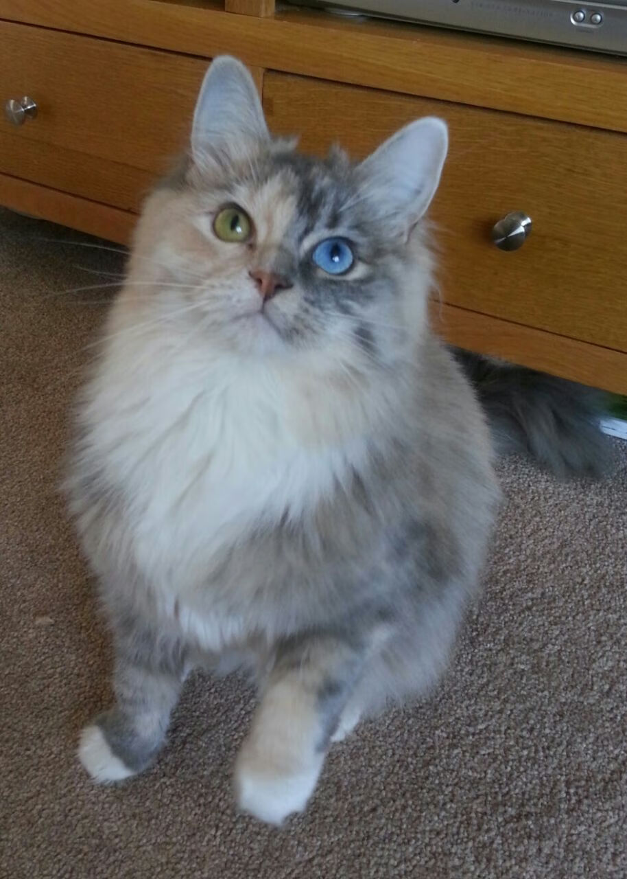 开云体育下载-欧文彻底打爆防线！湖人强势拿下掘金喜迎关键胜利