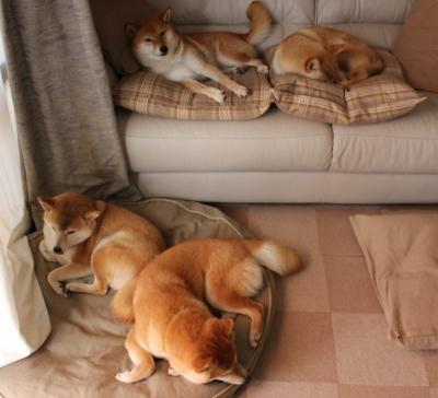 开云体育入口-足球之夜的双重狂喜，韩国绝境逢生，拉什福德一锤定音