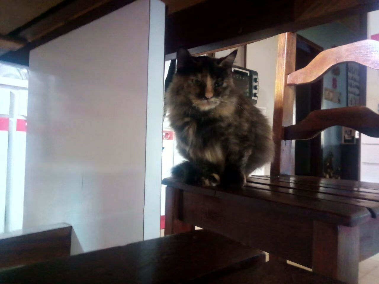 底特律奇迹VS凤凰城领袖，当草根逆袭撞上巨星证道