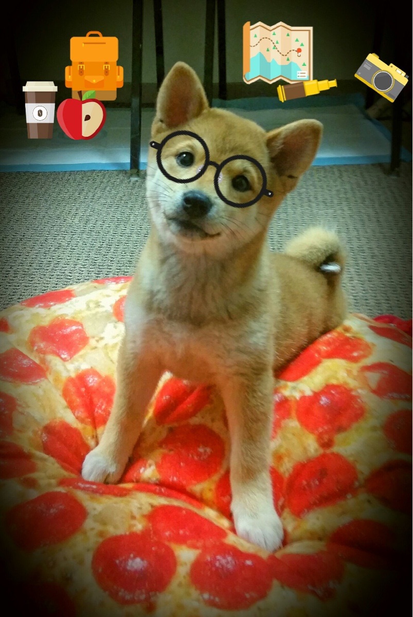 开云体育下载-绝杀与接管，时空交错中的英雄主义宣言