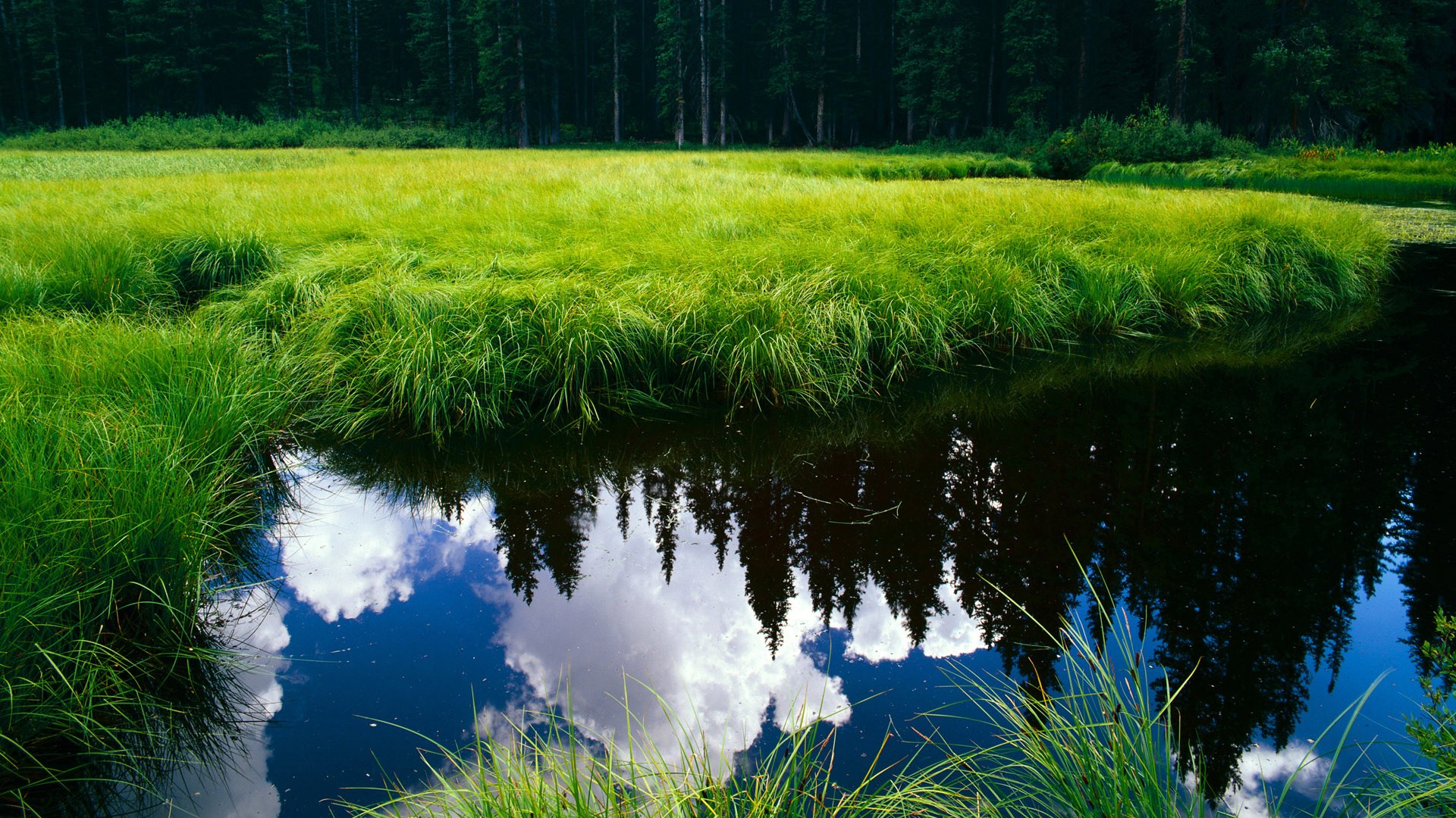开云官网-雷霆力克雄鹿，拉梅洛·鲍尔节奏大师引领全队致胜