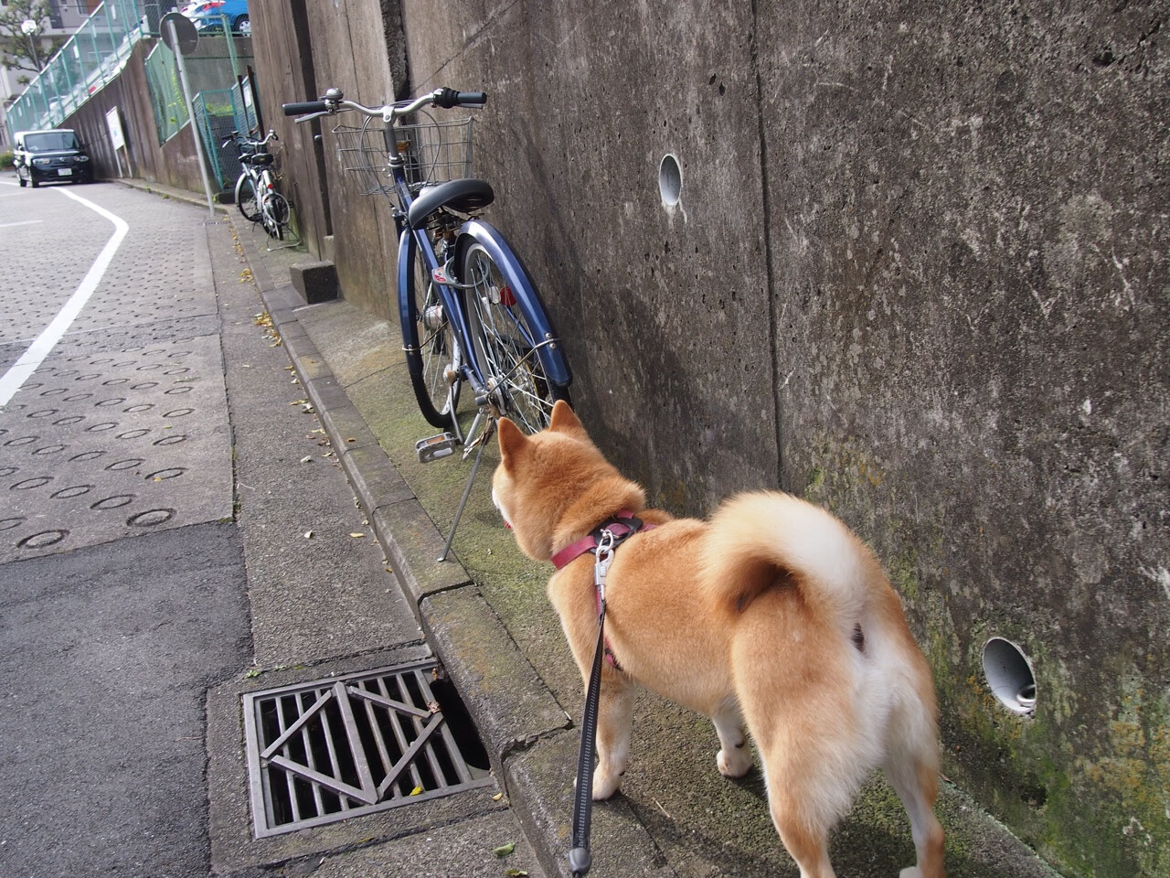 开云体育在线-冰与火，奥纳纳点燃赛场，尼斯斩落那不勒斯