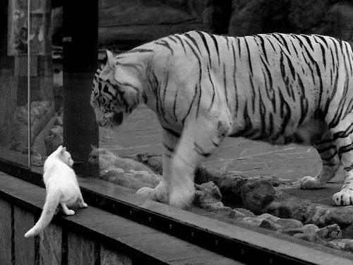 英超争冠之夜,苏亚雷斯刷新纪录铸就传奇