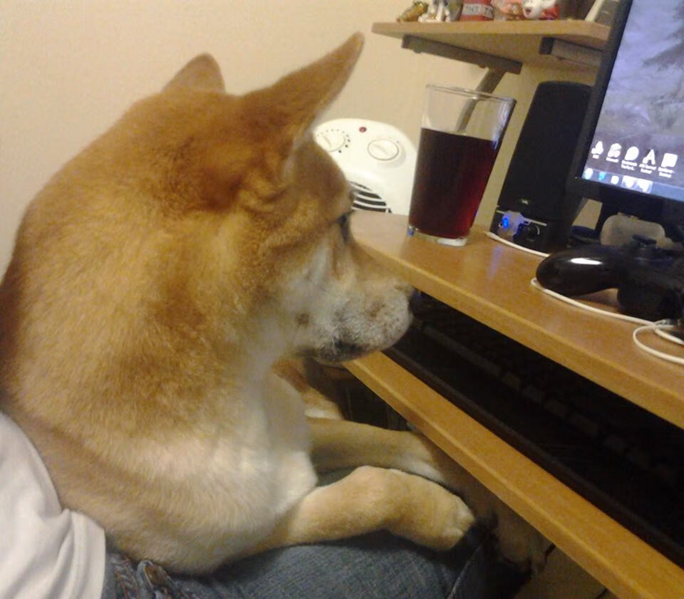 开云APP-一夫当关，当西班牙传控遭遇摩洛哥铁蹄，斯通斯铸就叹息之墙