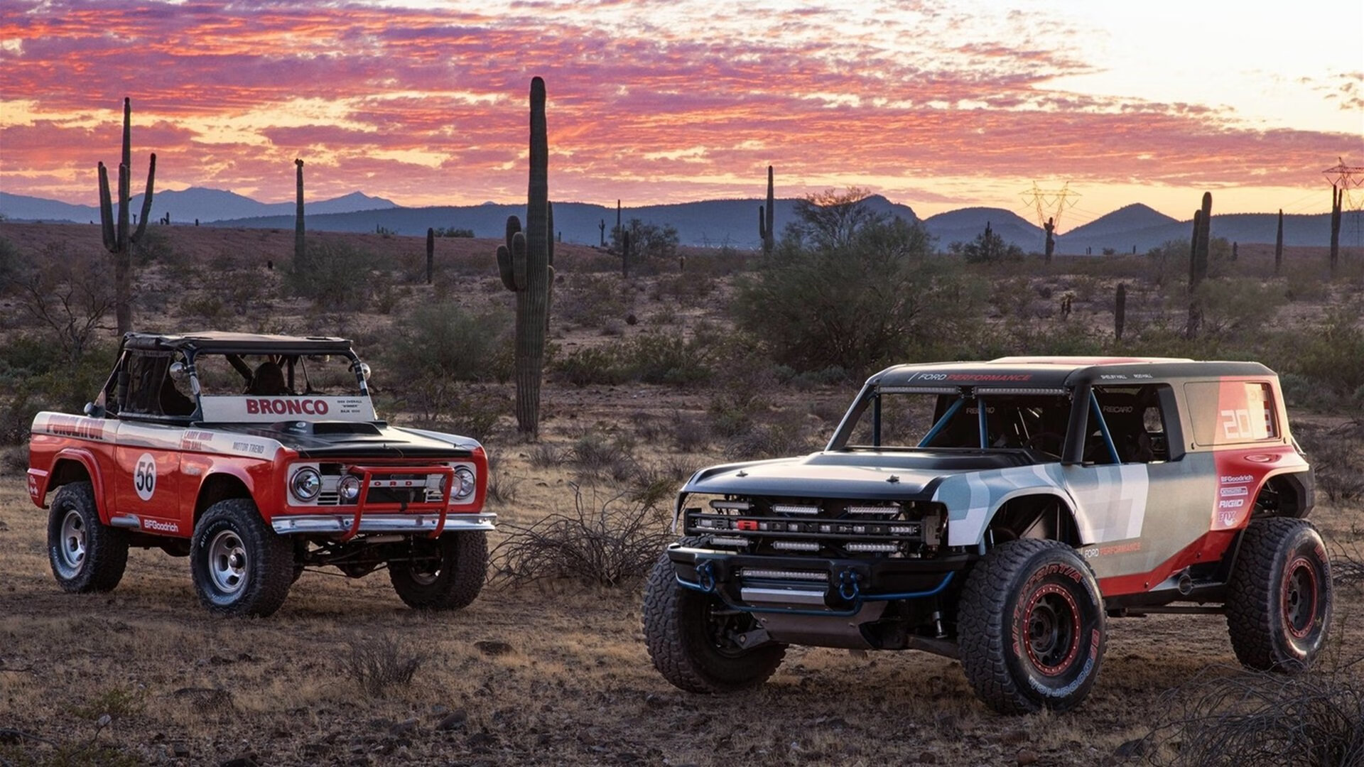 轰鸣赛道与寂静数据场,当F1极速之夜遇见统治级特奥
