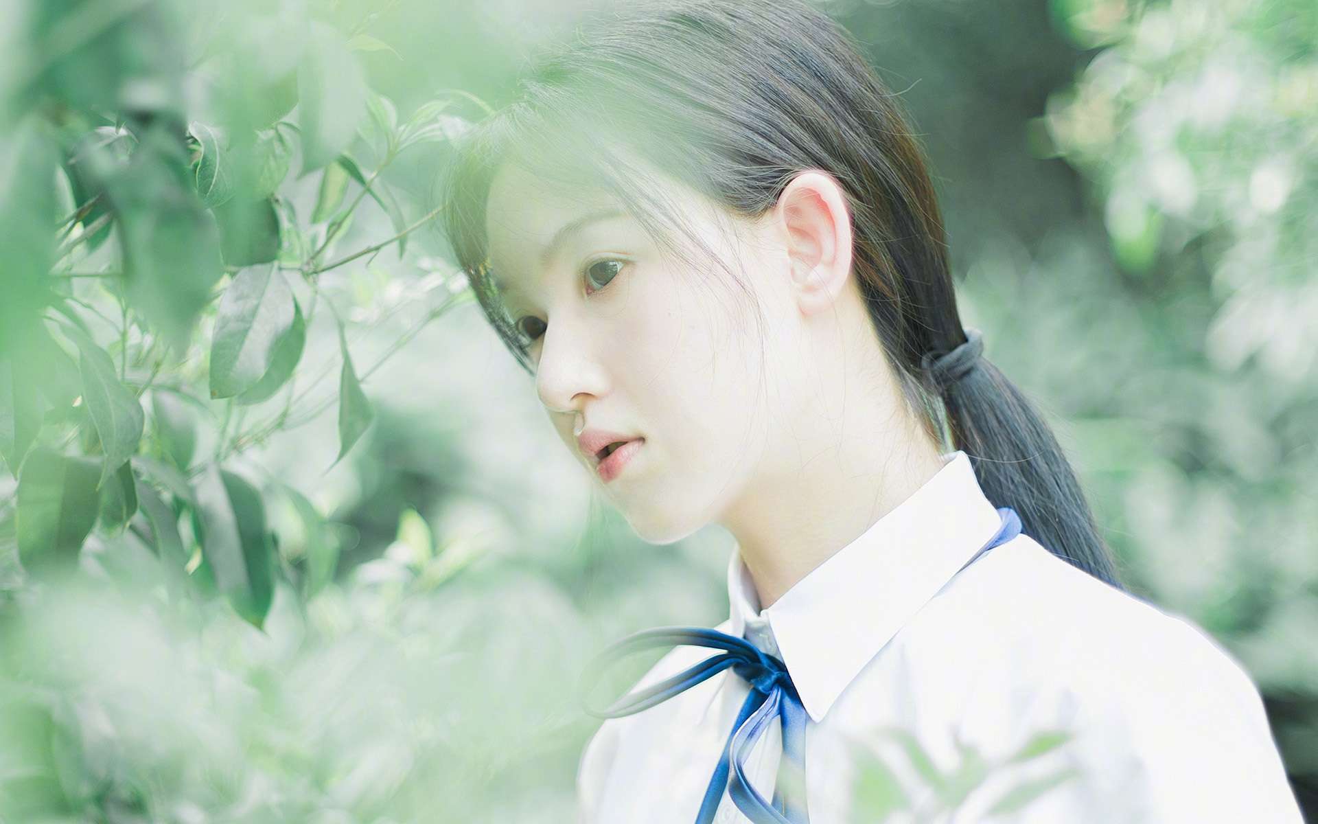 钢铁防线与孤胆英雄,武切维奇如何用防守主宰比赛