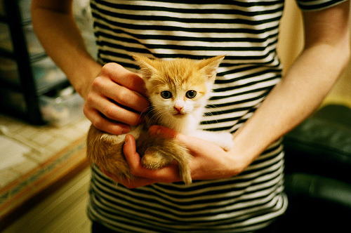 跨界风暴，巴黎血拼AC米兰，加克波F1争冠接管赛道