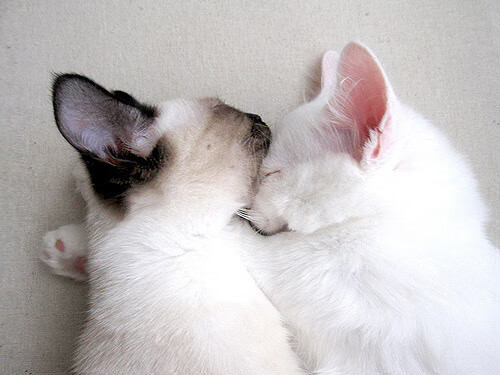 阿坎吉的蓝图，在世界杯决赛场上，他用防守建造了哥伦比亚的新首都