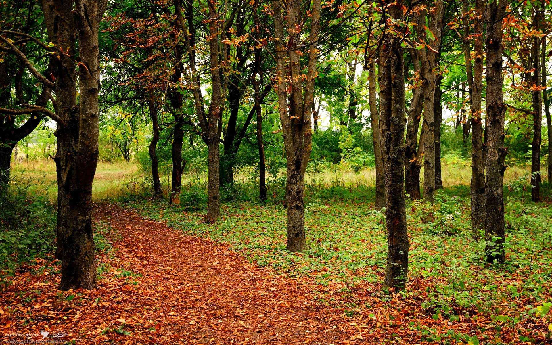 广东狂潮淹没水鸟,克莱三节44分,一场预定经典的团队屠戮