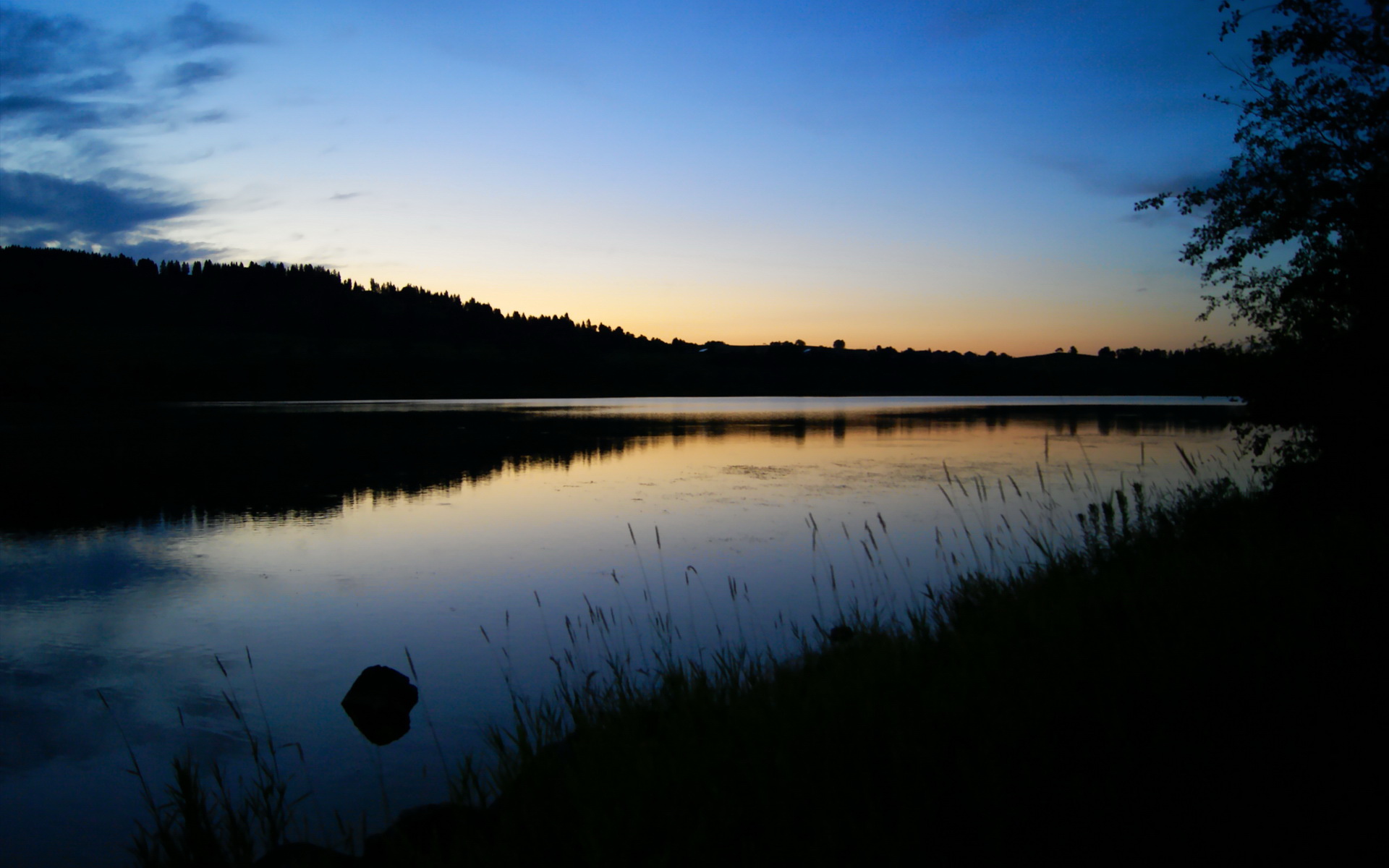 开云体育官网-鹈鹕狩猎之夜，猛龙变困兽，布克化身关键先生