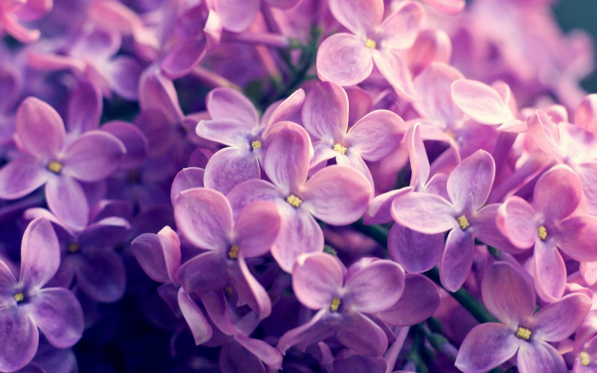 一骑绝尘刀锋冷，十秒绝杀定乾坤，足球场上的永恒博弈