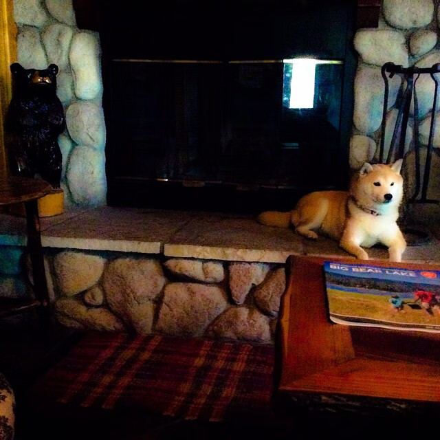 王者归来，萨拉赫末节雷霆一击，终结利物浦欧冠七年之痒