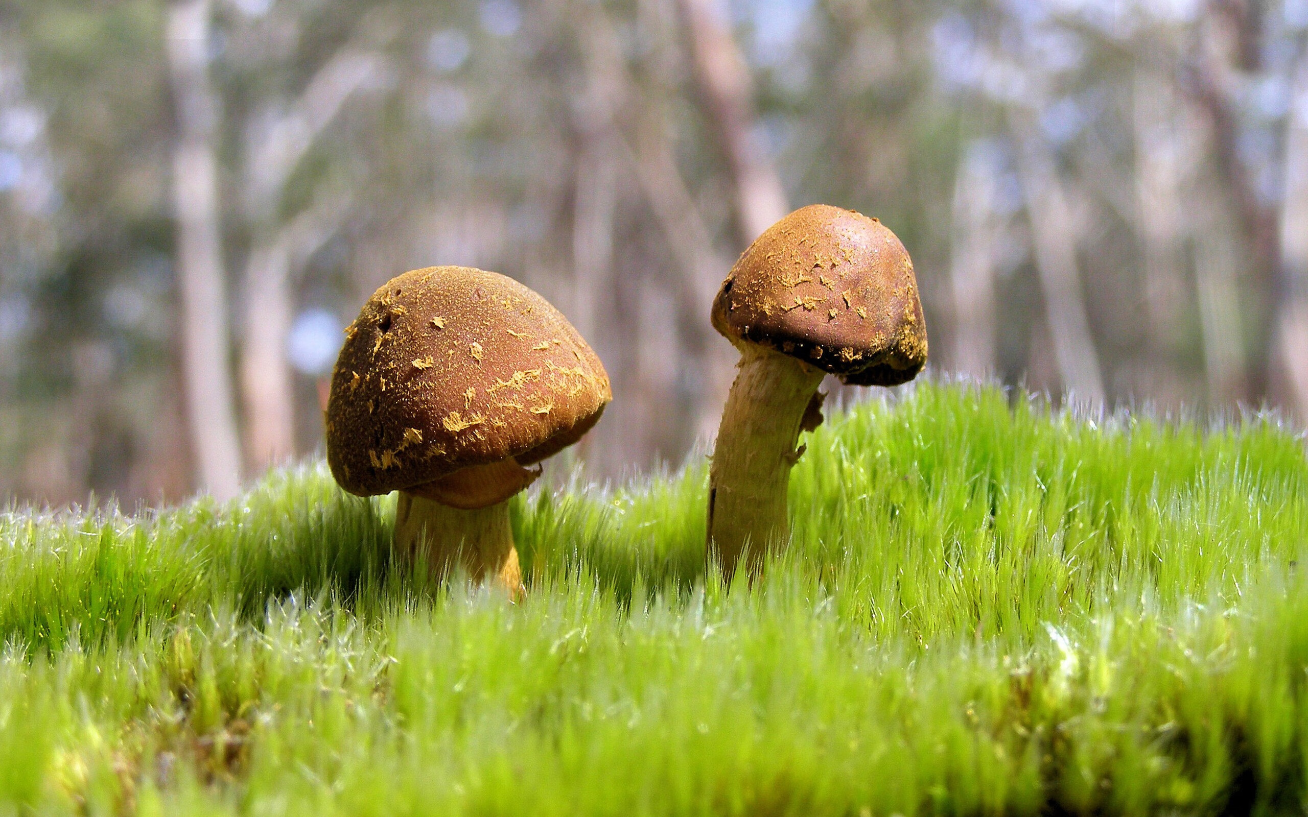 生死回合，当乔治在沉默中抬起枪口