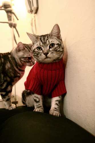 德罗赞的救赎之战,爵士击退黄蜂展现冠军雏形